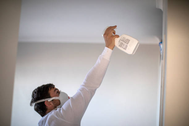 Best Kitchen Mold Remediation in Kalifornsky, AK